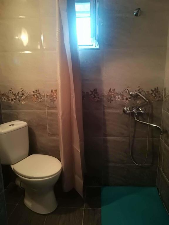 Nikoloz Guesthouse Kazbegi Ngoại thất bức ảnh