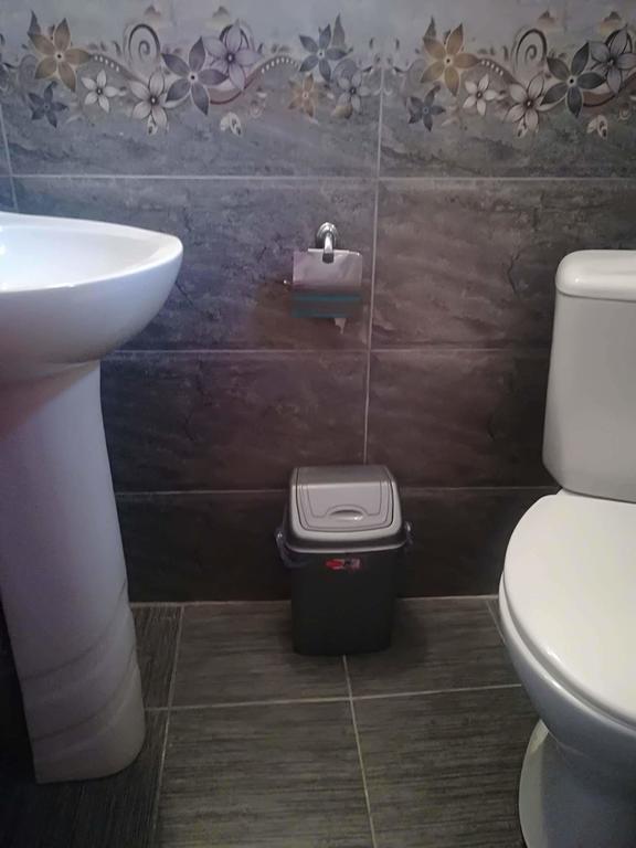 Nikoloz Guesthouse Kazbegi Ngoại thất bức ảnh